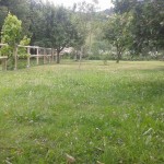 20150606_131437