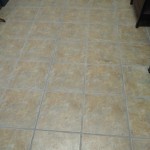 IMG_20151130_120901